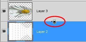 Creation of Daisy Gallery: Step 7